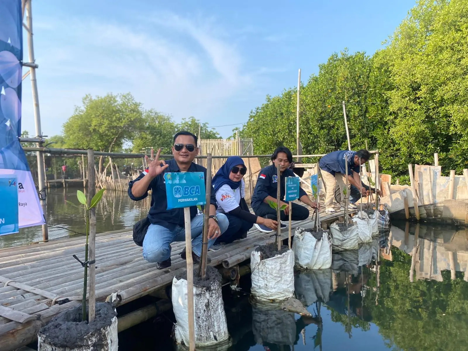 IWO Tanam 1.400 Pohon Mangrove di Tanjung Pasir, Aksi Nyata Wartawan Peduli Lingkungan Sambut HUT ke-14