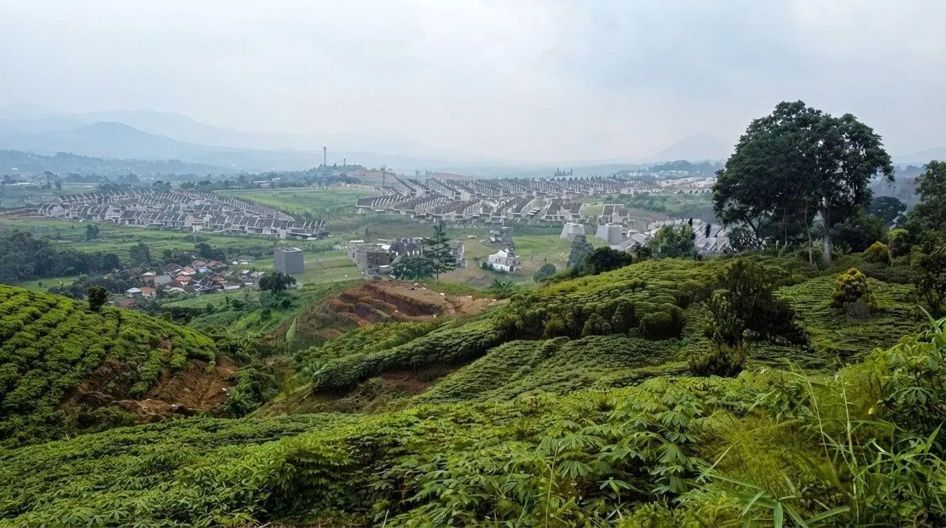 Kisah Hutan Terakhir di Desa Cibanon