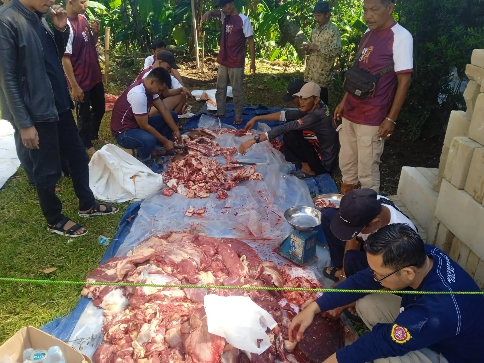 Gerindra Kabupaten Bogor Tebar 14 Ekor Sapi Kurban, Separuh Bantuan Rudy Susmanto