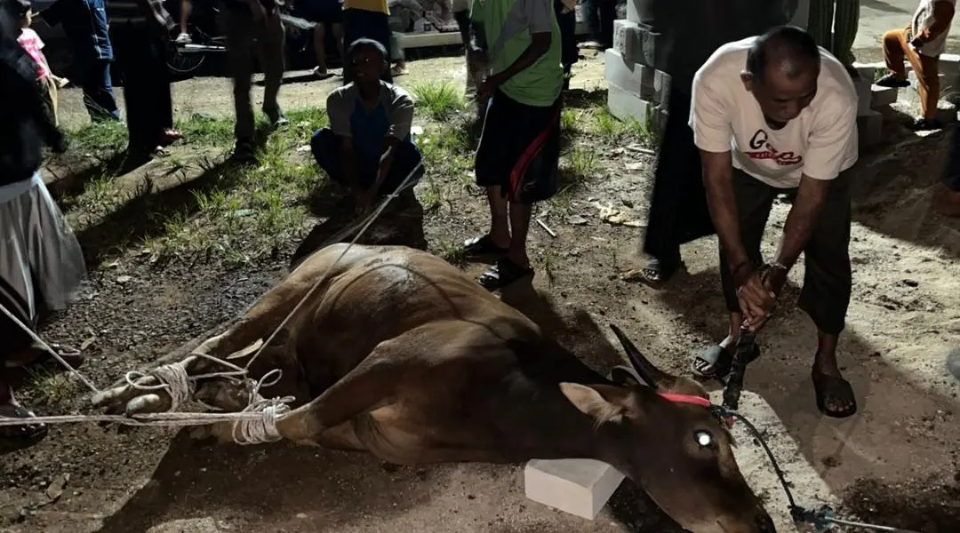 KH Achmad Yaudin Sogir Bahas Hukum Kurban dari Dana Pemerintah