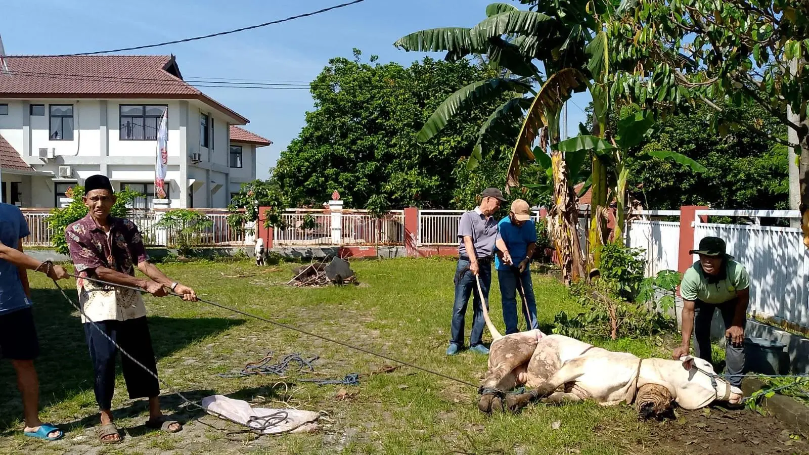 Sekber Wartawan Bogor Raya Potong Hewan Kurban, Apresiasi Kepedulian Bupati