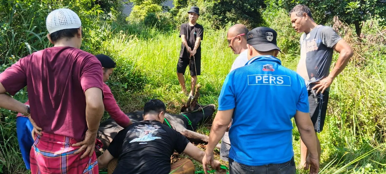 Bupati Bogor Rudy Susmanto Salurkan Sapi Kurban untuk BMSN, Pererat Kebersamaan dan Kepedulian Sosial