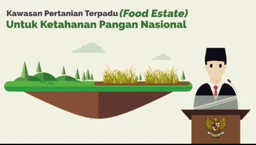 Dukungan SUTA: Food Estate di Kapuas Kalteng Realisasi Panen Padi di Lahan 9.720 Hektare