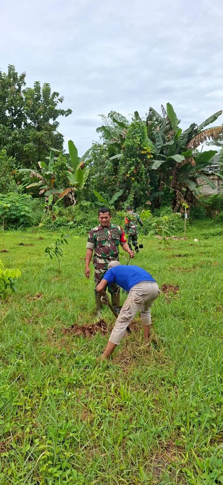Peduli Lingkungan, Babinsa Tanam Pohon di Lahan TPU Desa Cijujung