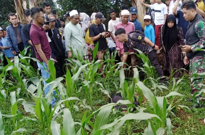 Temukan Mayat Pria di Kebun Jagung Sukatani Diduga Korban Pembunuhan