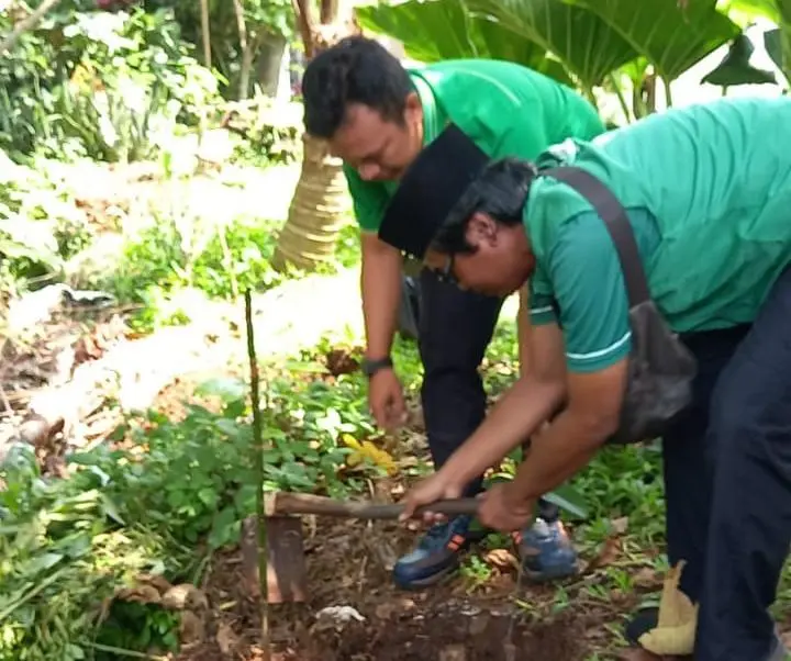 Harlah ke-53 PPP, Kader di Kota Depok Tanam 1.000 Pohon, Ini Pesan Ketua DPC