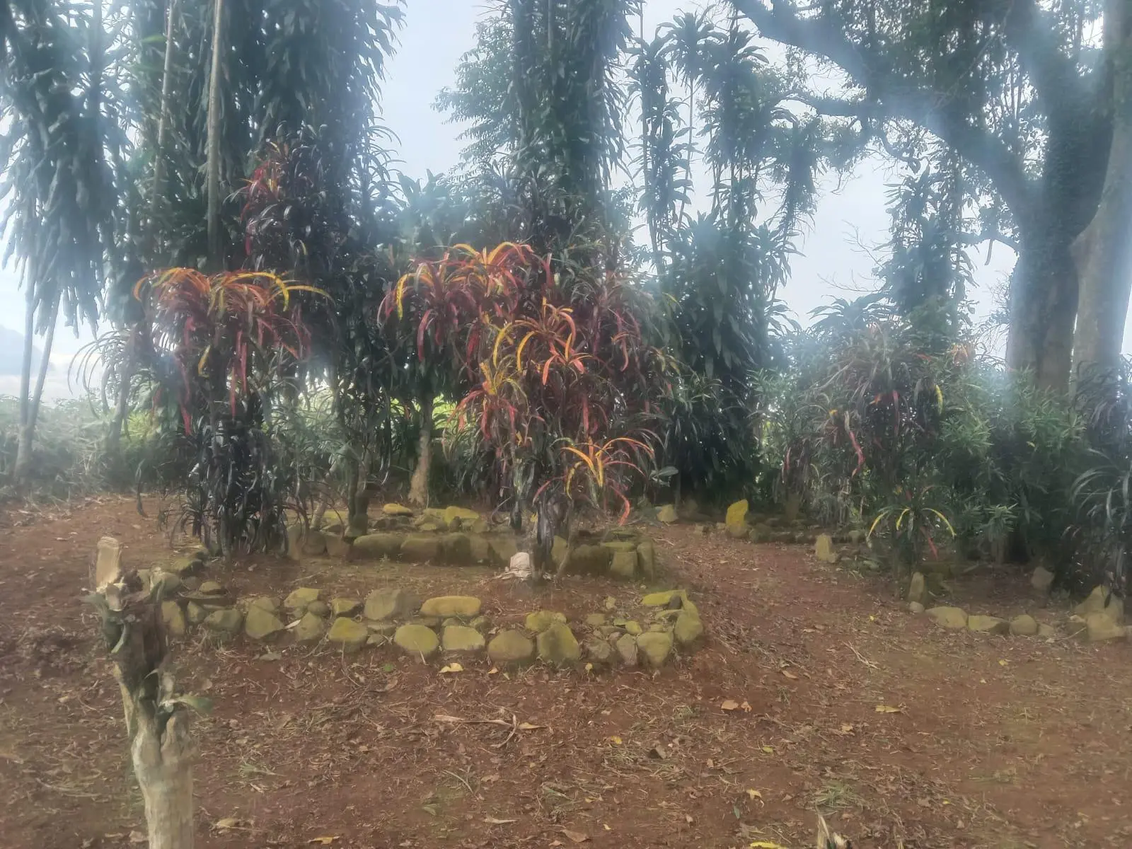 Menelisik Makam Keramat Mbah Janggot di Cibanon