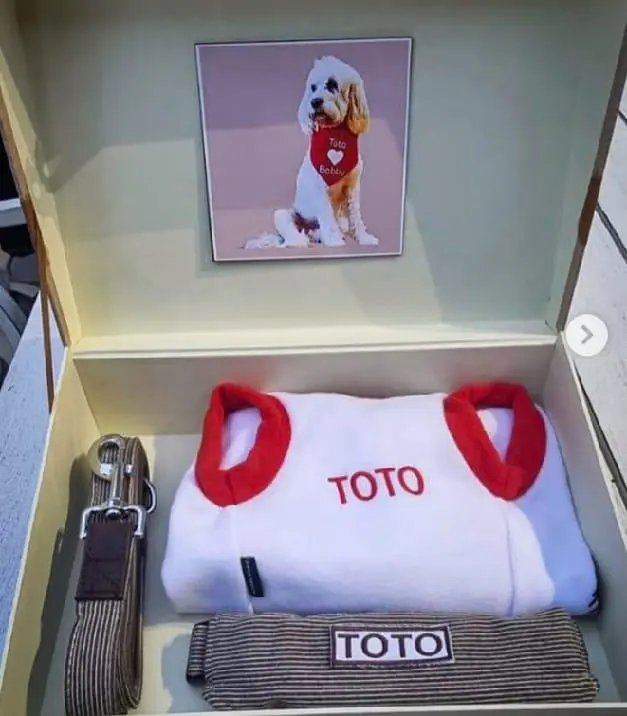 Prabowo Balas Hadiah untuk Toto, Anjing Kesayangan PM Albanese: Baju dan Tali Warna Merah Putih