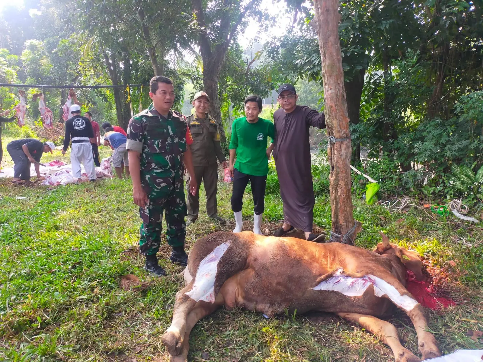 Momen Iedul Adha Petugas Monitoring Penyembelihan Hewan Qurban