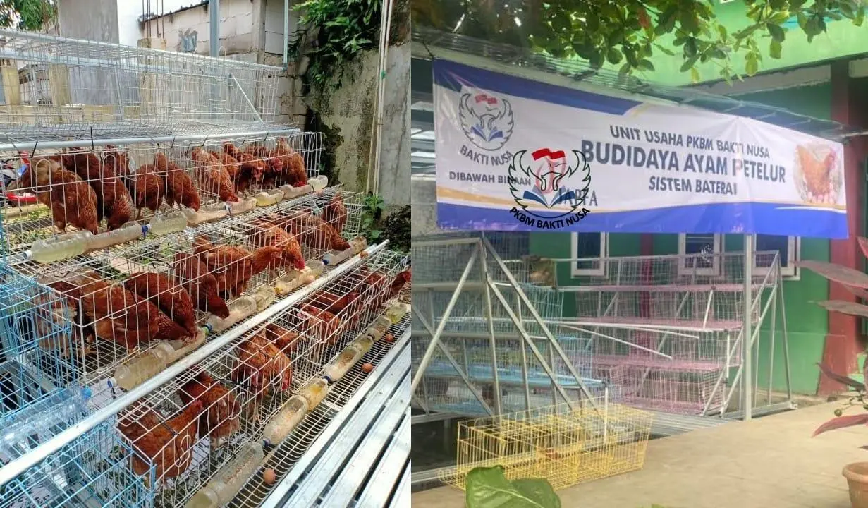PKBM Bakti Nusa dan Forum J1 Berinovasi Bantu Pemerintah di Sektor Ketahanan Pangan