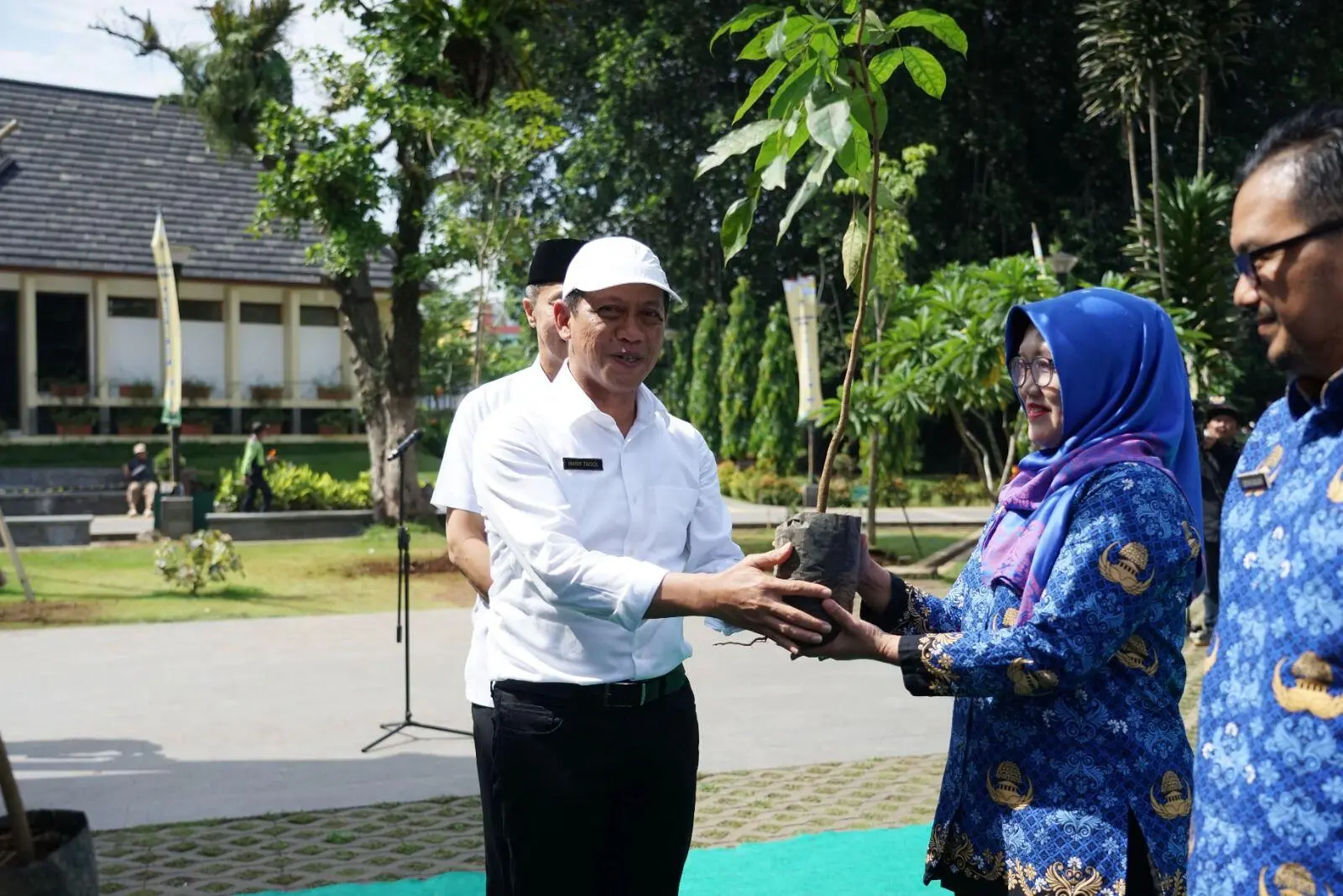 Cuaca Ekstrim, Masyarakat diserukan Menanam Pohon