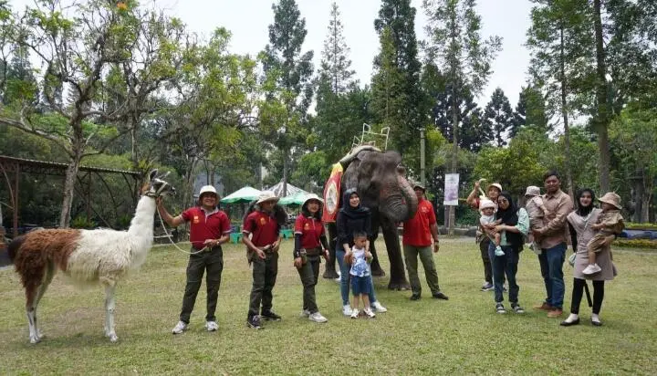 Memperingati Hari Satwa Sedunia 2023, Royal Safari Garden Berikan Edukasi Satwa kepada Pengunjung
