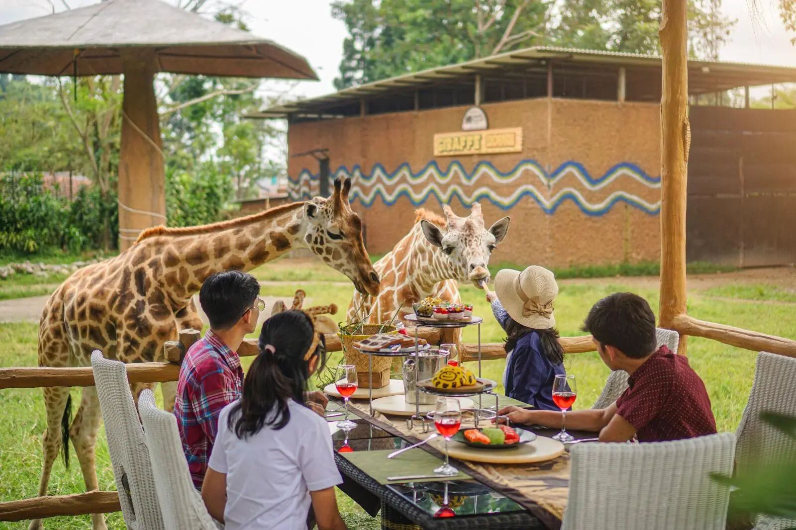 Wow ! “Dine With Giraffe” Exclusive dan Satu-satunya Hotel di Jawa Barat yang Bisa Makan Ditemani Jerapah