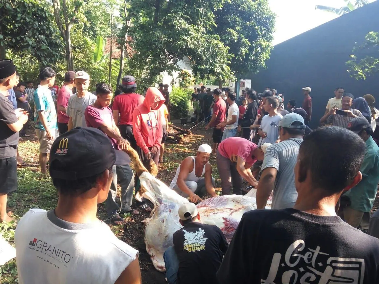 DKM Masjid At-Taubah Tajurhalang Bagikan 350 Daging Qurban