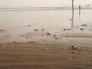 Sampah Berserakan Bikin Pucat Panorama Pantai Bagedur