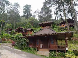 Wajib Healing di Caimandala Curug Asmandana Keindahan Tersembunyi Puncak Bogor