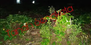 Permasalahan Tanah di Desa Curug Gunung Sindur akan Dimeja Hijaukan