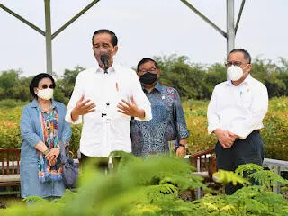 Presiden: Rehabilitasi Lahan Kritis Dimulai dari Pembangunan Persemaian