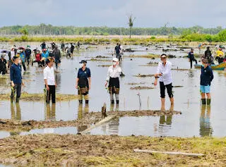 Presiden Jokowi Tanam Mangrove Bersama Dubes dan Masyarakat