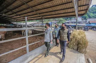 Mentan SYL dan Bima Arya Pantau Ketersediaan Hewan Kurban