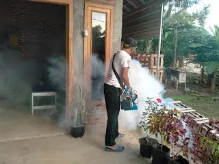 Cegah Penyebaran DBD,  Kades Bancar Berharap Warga Melakukan 3 M