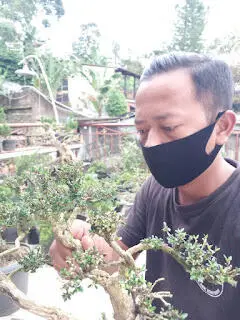 Tukang Es Buah Ini Sukses Kembangkan Tanaman Hias Hingga Tembus Pasar Luar Negeri