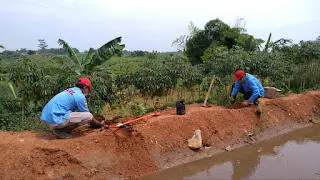 Jaga Kelestarian Alam, KRL Bugenville bersama FKRL Lakukan Penanaman Pohon