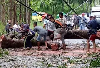 PLN ULP Tanggeung: Hindari Jaringan Listrik Bila Cuaca Ekstrem