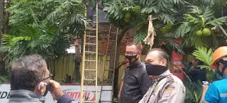 Seorang Pria Parubaya Meninggal Dunia saat Tebang Pohon Sukun